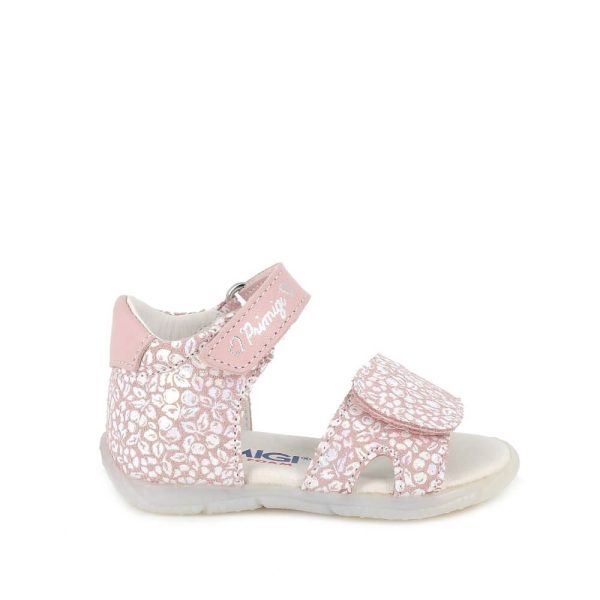 2023139102222 2023139102222