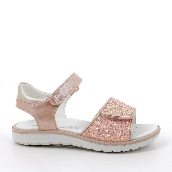 202415887355_2 (1) 202415887355_2 (1)