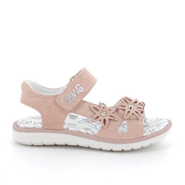 202415887511_2 (1) 202415887511_2 (1)