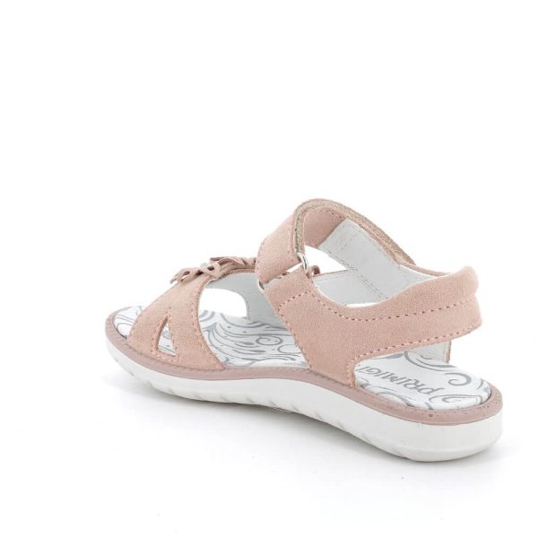 202415887511_3 (1) 202415887511_3 (1)