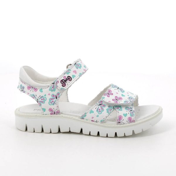 202415890544_2 (1) 202415890544_2 (1)