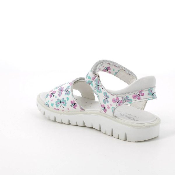 202415890544_3 202415890544_3