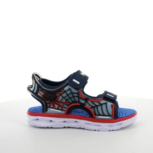 202415972700_2 202415972700_2