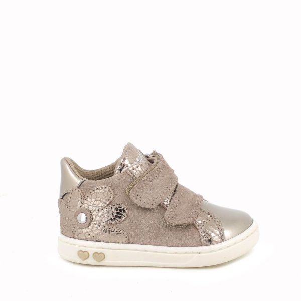 202426902533_2 (1) 202426902533_2 (1)