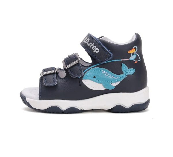 image0 (2) image0 (2)