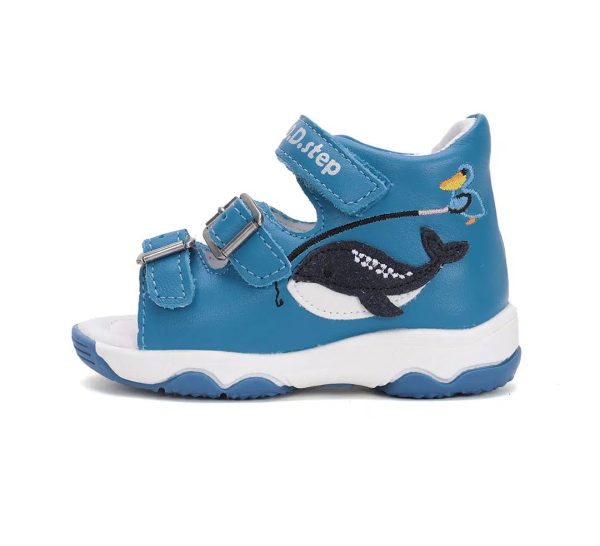 image6 (1) image6 (1)