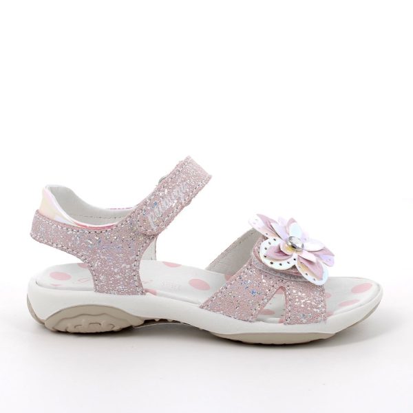 202517885022_2 202517885022_2