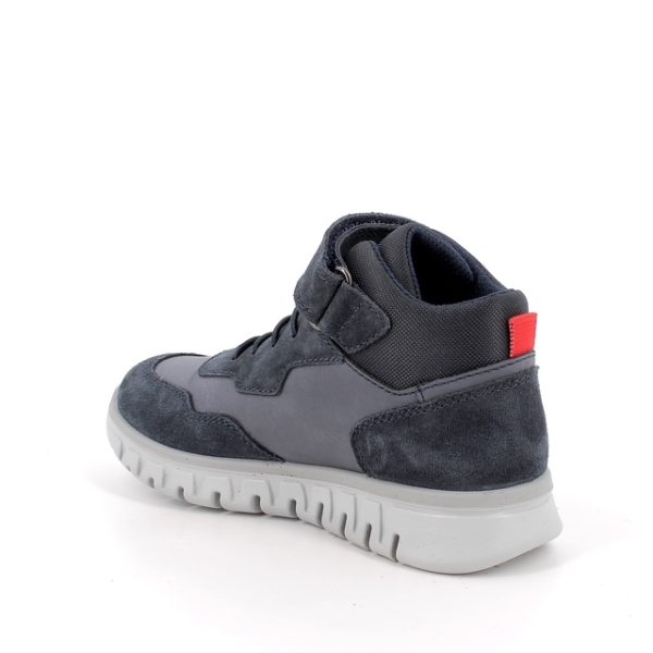 202528885811_3 202528885811_3